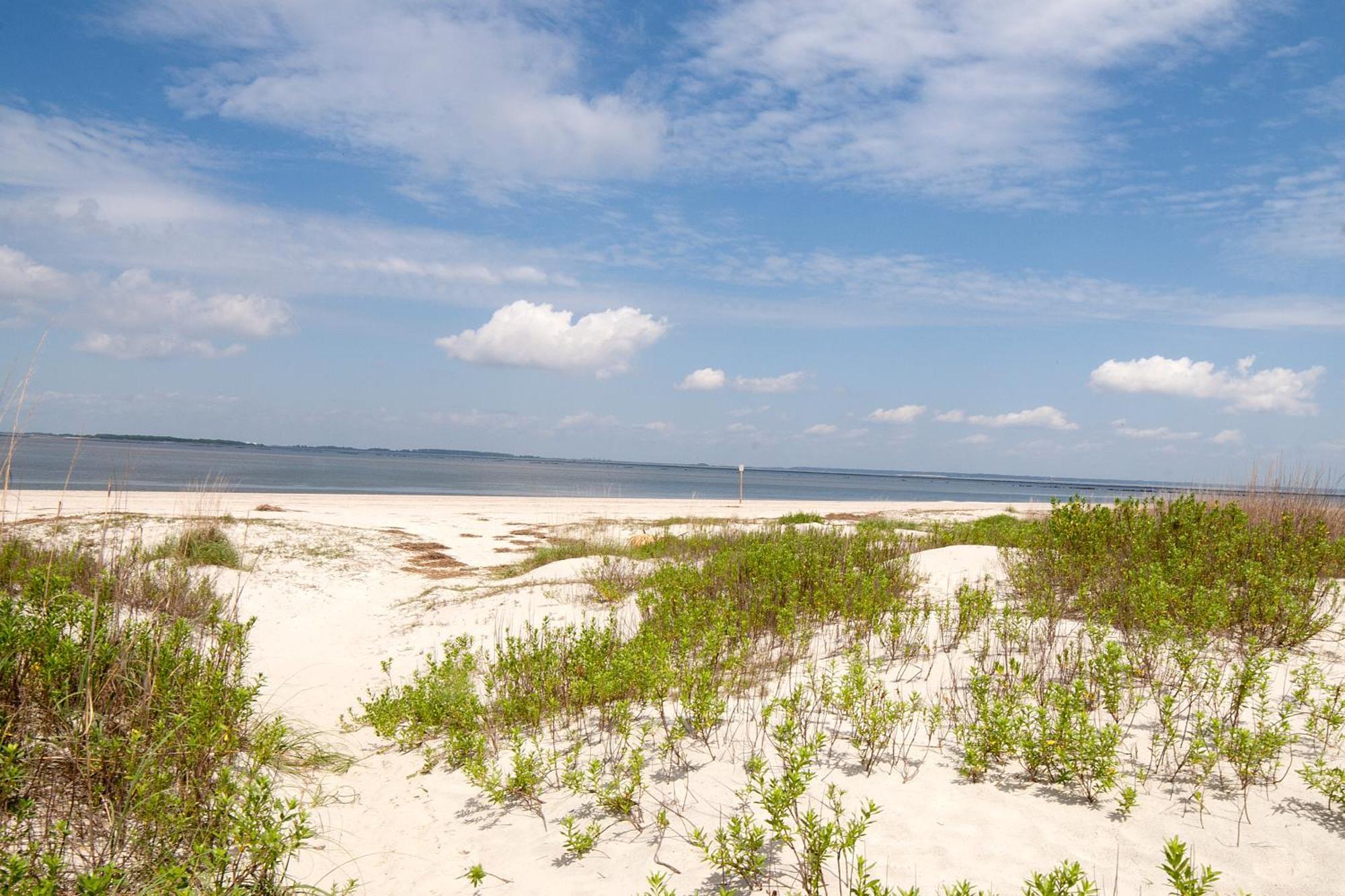 Desoto Beach Gardens Tybee Island Ngoại thất bức ảnh